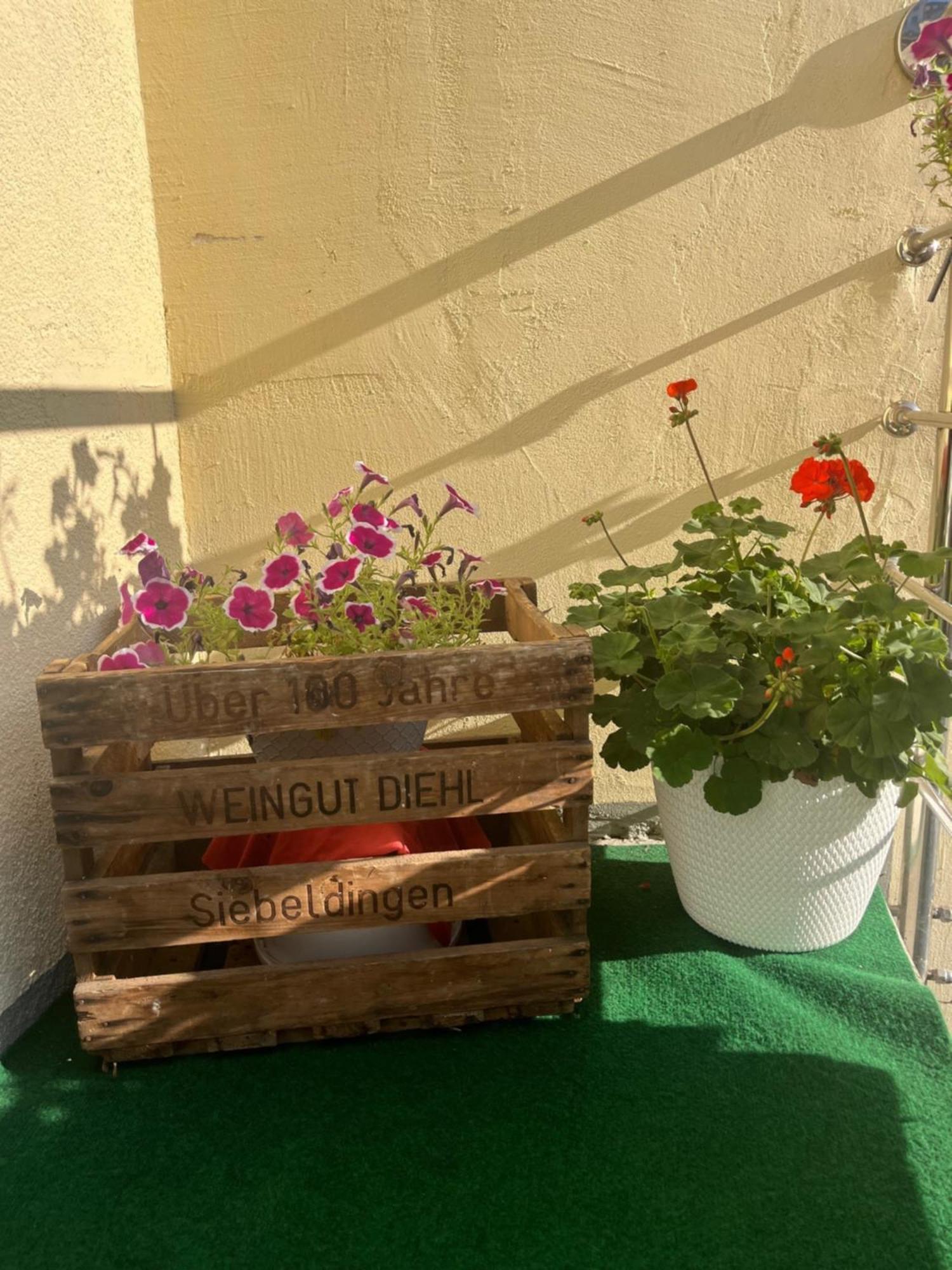 Hotel Jaegerhaus In Singen Am Hohentwiel מראה חיצוני תמונה