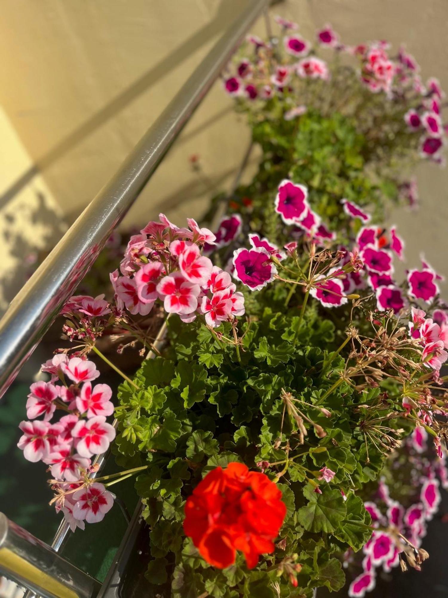 Hotel Jaegerhaus In Singen Am Hohentwiel מראה חיצוני תמונה